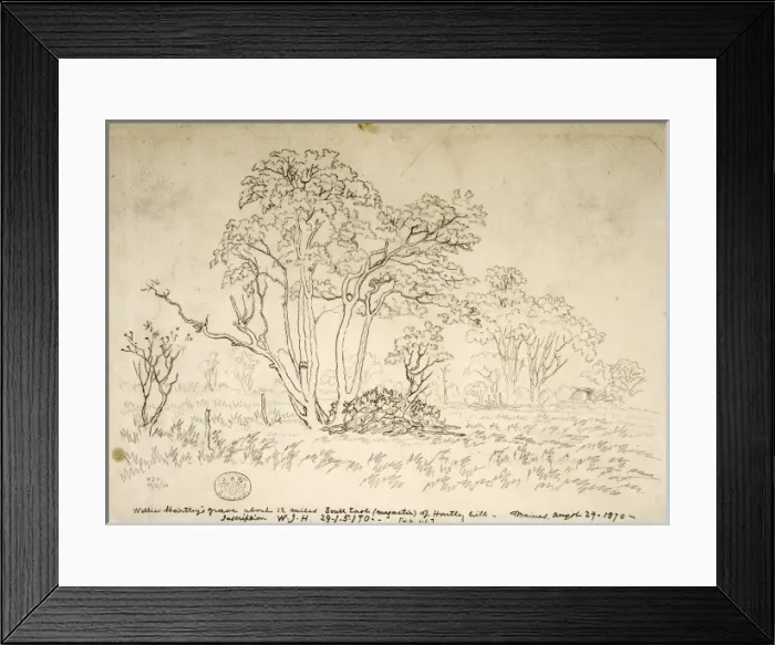 Framed Print : Willie Hartleys grave Framed Print : Willie Hartleys grave