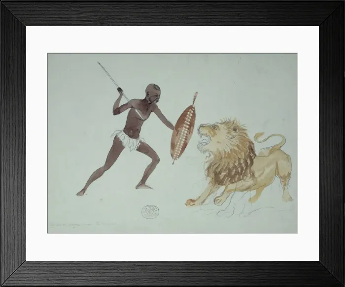 Framed Print : Panthera leo, lion Framed Print : Panthera leo, lion