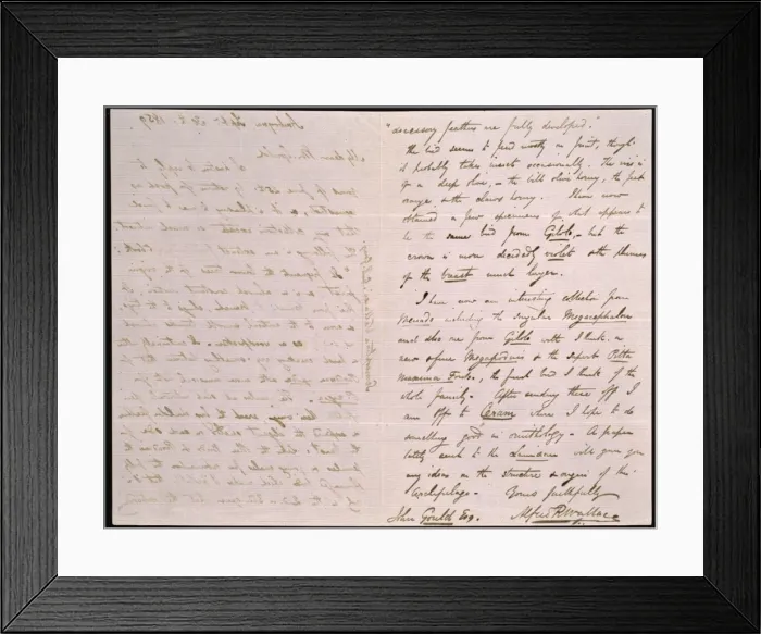 Framed Print : Letter from Wallace to Gould Framed Print : Letter from Wallace to Gould