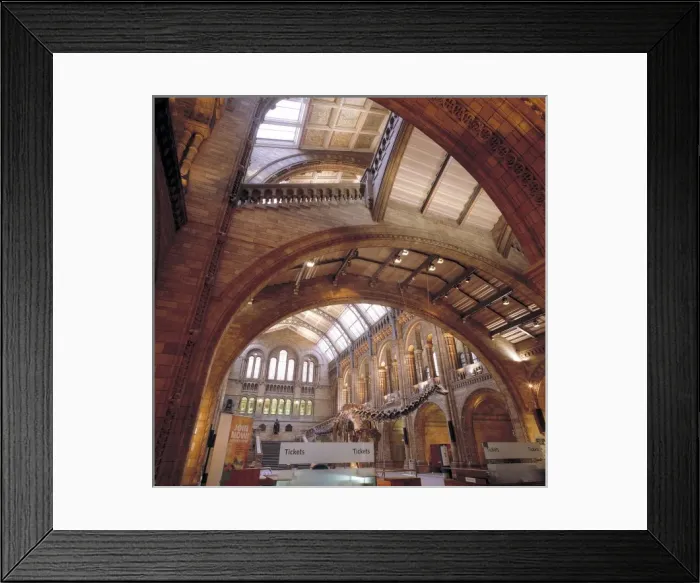 Framed Print : The Central Hall of the Natural History Museum, London Framed Print : The Central Hall of the Natural History Museum, London