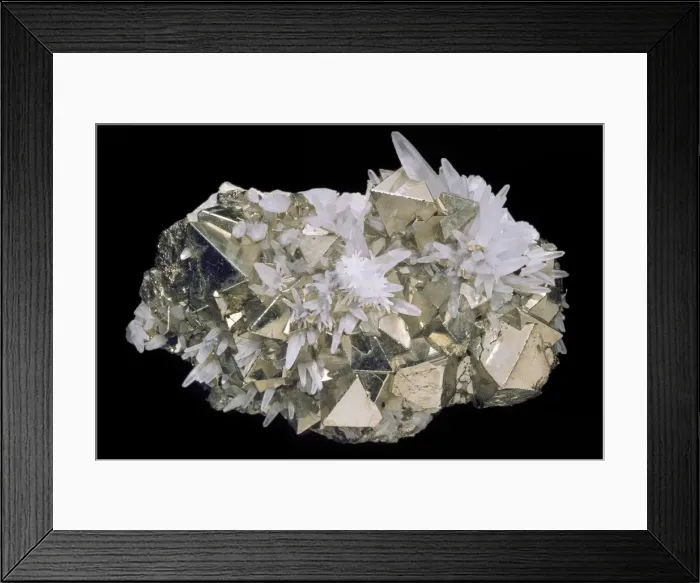 Framed Print : Pyrite comprises of (iron sulphide) and is also known as fools gold Framed Print : Pyrite comprises of (iron sulphide) and is also known as fools gold