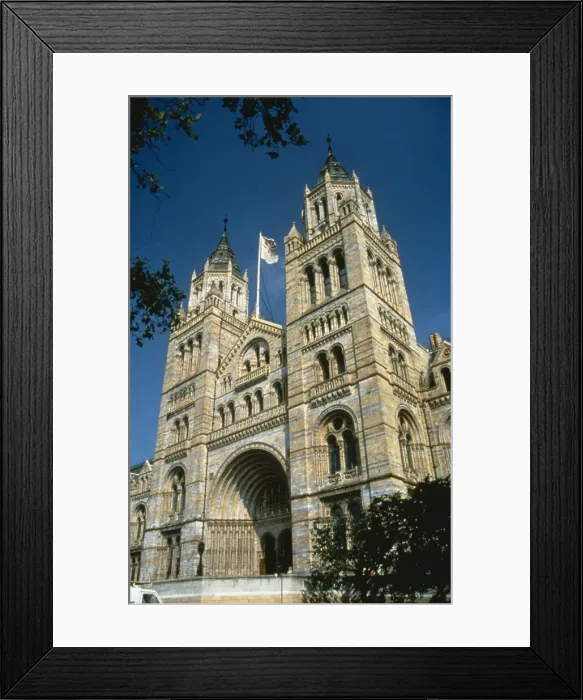 Framed Print : The Natural History Museum, London Framed Print : The Natural History Museum, London