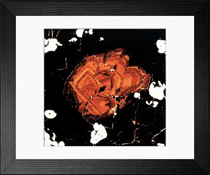 Framed Print : Pyrochlore Framed Print : Pyrochlore