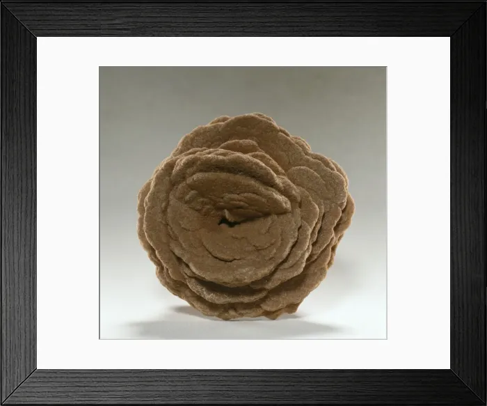 Framed Print : Gypsum crystals - A desert rose Framed Print : Gypsum crystals - A desert rose