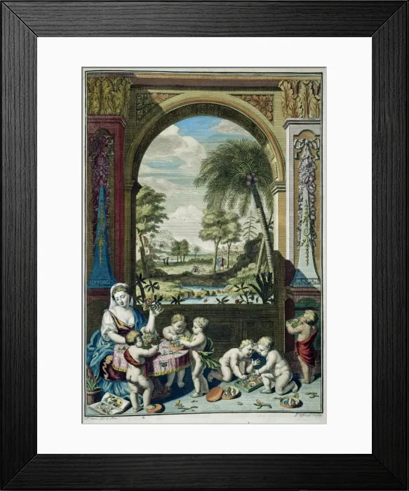Framed Print : Insects, plants & shells against landscape Framed Print : Insects, plants & shells against landscape
