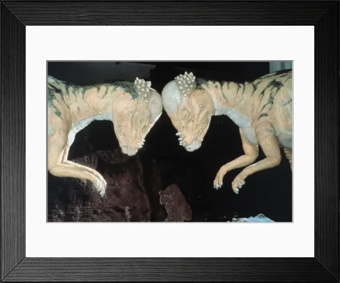 Framed Print : Pachycephalosaurus Framed Print : Pachycephalosaurus
