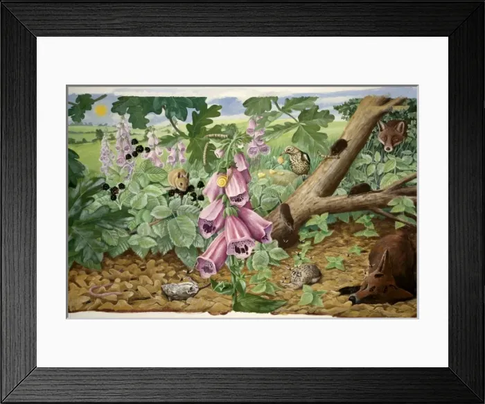 Framed Print : Food chains Framed Print : Food chains