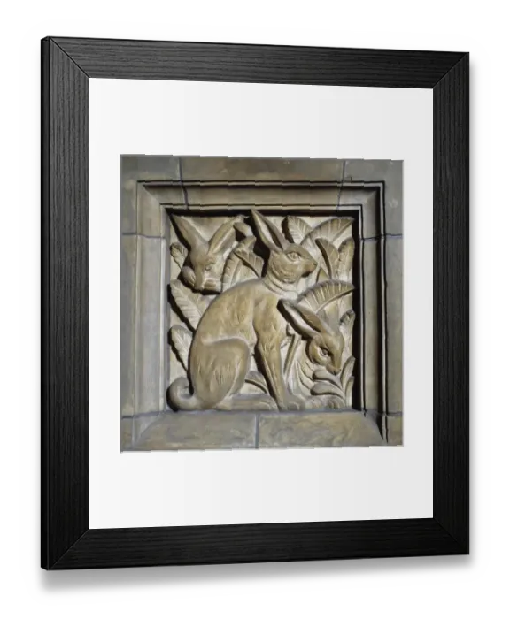 Framed Print : The Natural History Museum, London Framed Print : The Natural History Museum, London