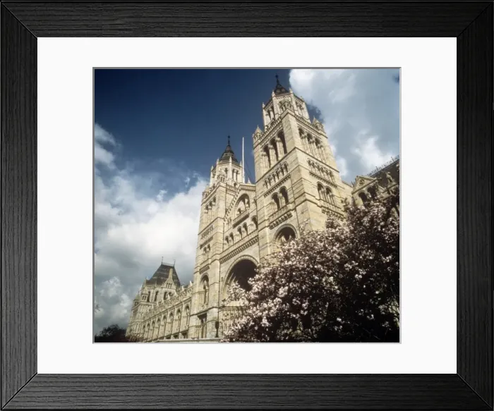 Framed Print : The Natural History Museum, London Framed Print : The Natural History Museum, London