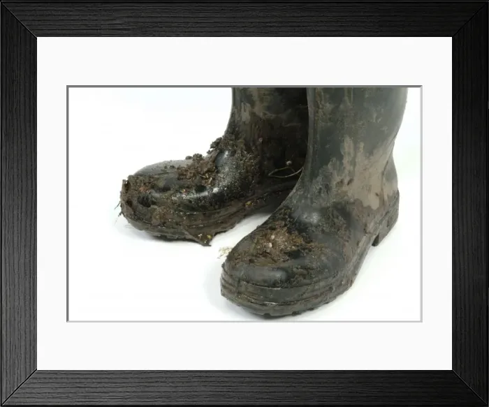 Framed Print : Wellington boots Framed Print : Wellington boots