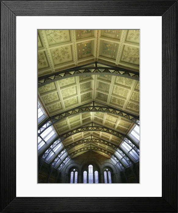 Framed Print : Decorative ceiling panels in the Natural History Museums Ce