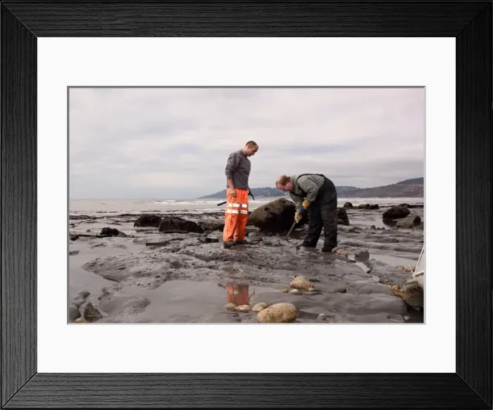 Framed Print : Excavating at Charmouth