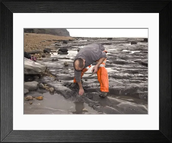 Framed Print : Excavating at Charmouth Framed Print : Excavating at Charmouth