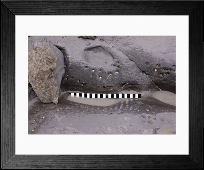 Framed Print : Excavating at Charmouth Framed Print : Excavating at Charmouth