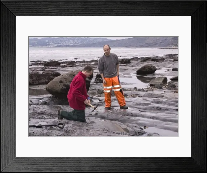 Framed Print : Excavating at Charmouth Framed Print : Excavating at Charmouth