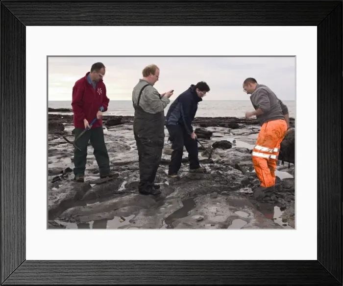Framed Print : Excavating at Charmouth Framed Print : Excavating at Charmouth