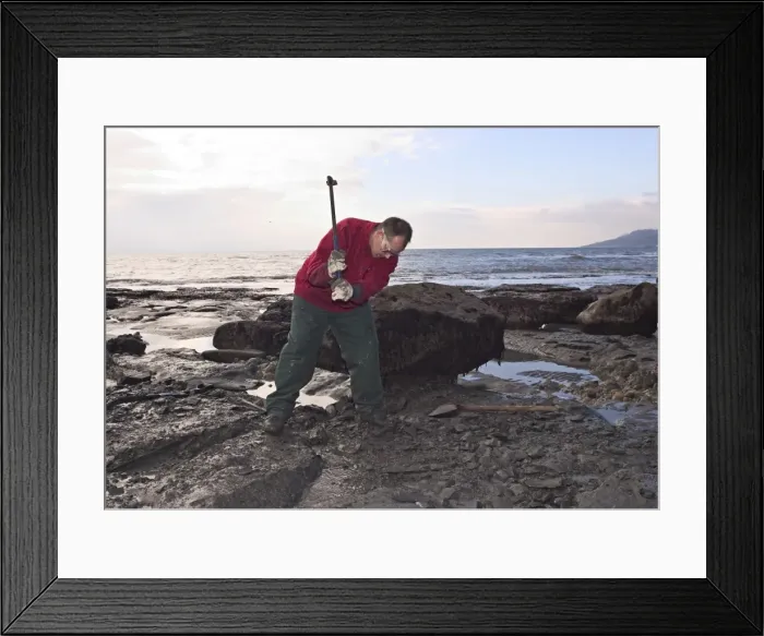 Framed Print : Excavating at Charmouth Framed Print : Excavating at Charmouth