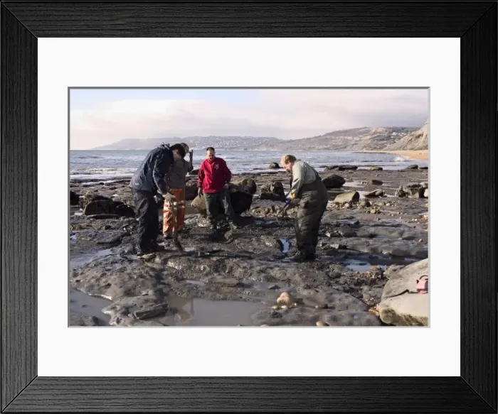 Framed Print : Excavating at Charmouth Framed Print : Excavating at Charmouth