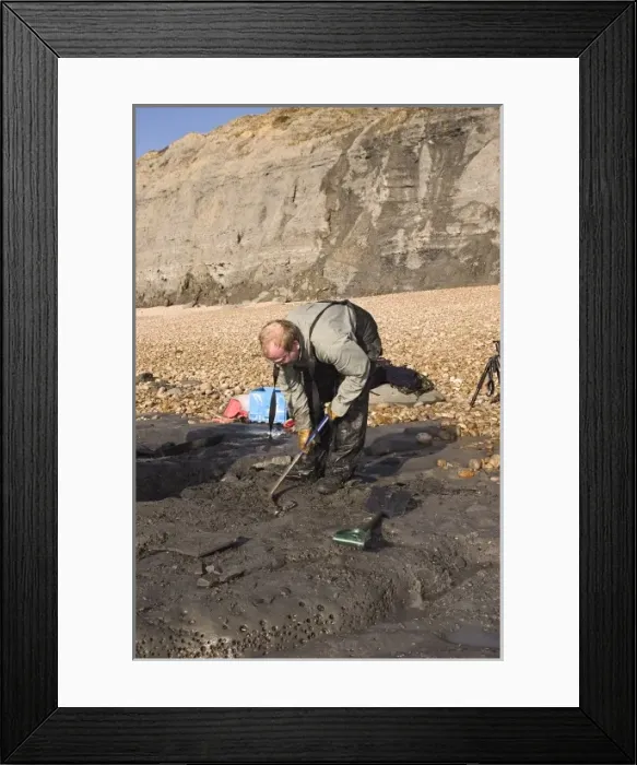 Framed Print : Excavating at Charmouth Framed Print : Excavating at Charmouth