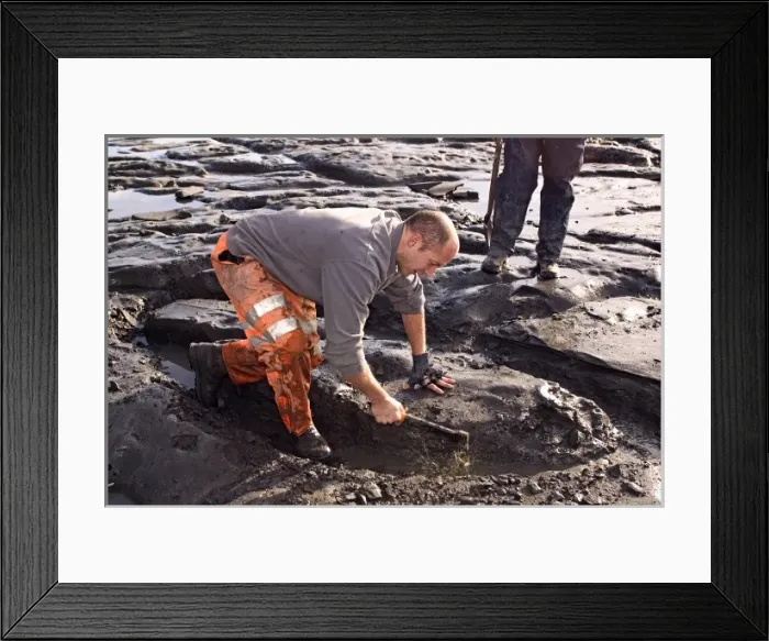 Framed Print : Excavating at Charmouth Framed Print : Excavating at Charmouth