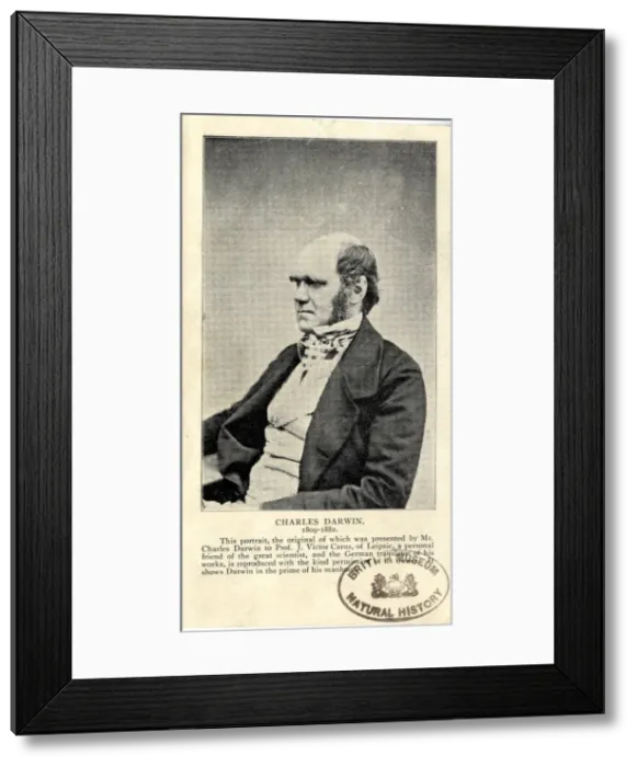 Framed Print : Charles Robert Darwin