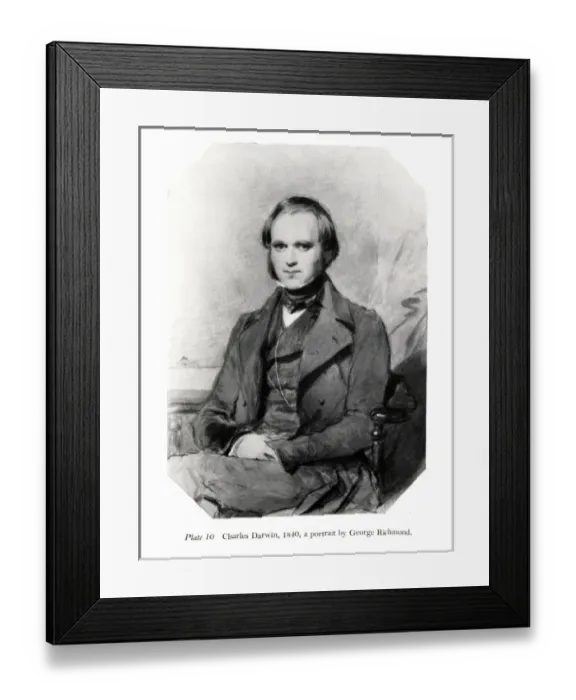 Framed Print : Charles Robert Darwin Framed Print : Charles Robert Darwin