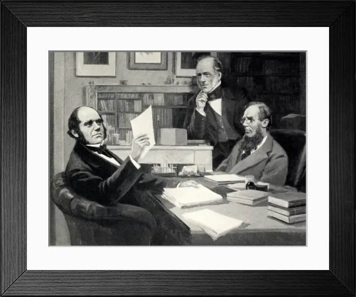 Framed Print : Charles Robert Darwin Framed Print : Charles Robert Darwin
