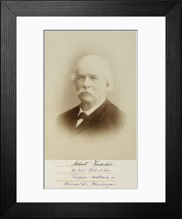 Framed Print : Albert von Kolliker Framed Print : Albert von Kolliker