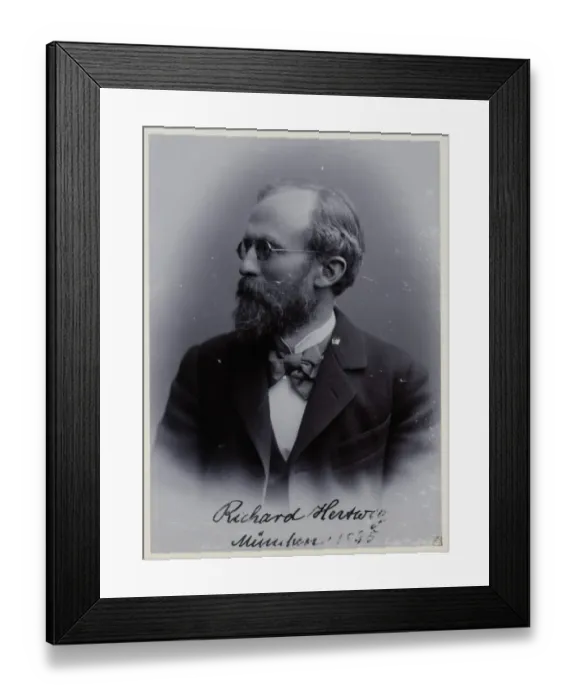 Framed Print : Richard Hertwig Framed Print : Richard Hertwig