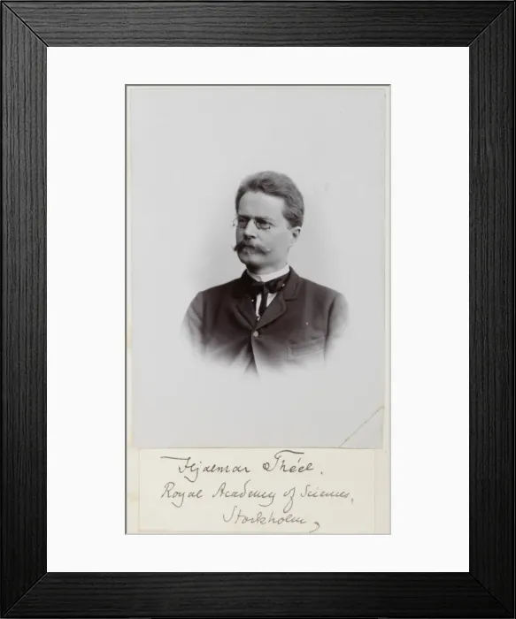 Framed Print : Hjalmar Theel Framed Print : Hjalmar Theel