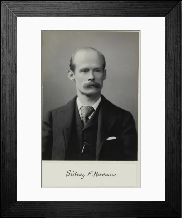 Framed Print : Sidney F. Harmer Framed Print : Sidney F. Harmer