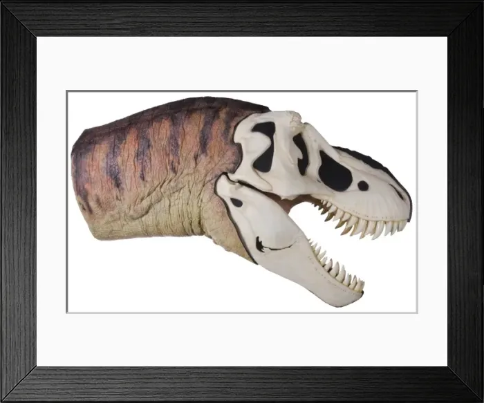 Framed Print : Tyrannosaurus rex Framed Print : Tyrannosaurus rex