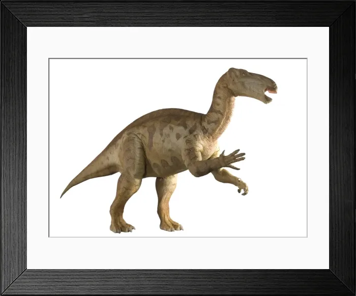 Framed Print : Iguanodon Framed Print : Iguanodon