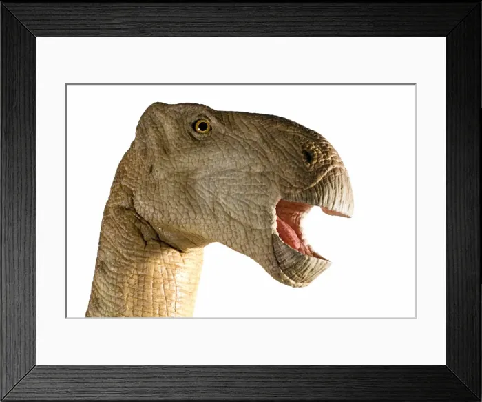 Framed Print : Iguanodon. An animatronic Iguanodon dinosaur made by Kokoro in colabroration Framed Print : Iguanodon. An animatronic Iguanodon dinosaur made by Kokoro in colabroration