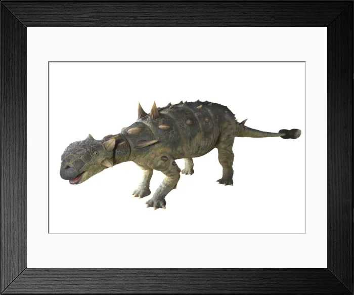 Framed Print : Euoplocephalus Framed Print : Euoplocephalus