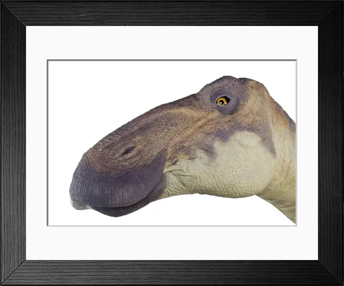 Framed Print : Edmontosaurus Framed Print : Edmontosaurus