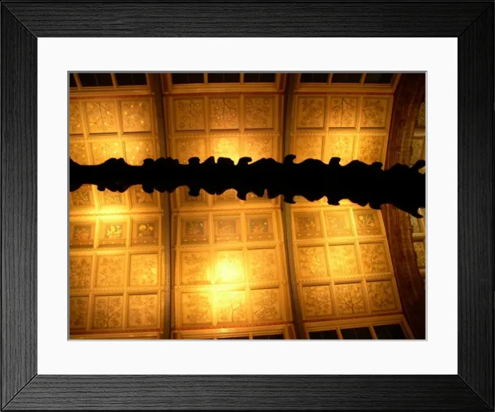 Framed Print : The Central Hall of the Natural History Museum, London Framed Print : The Central Hall of the Natural History Museum, London
