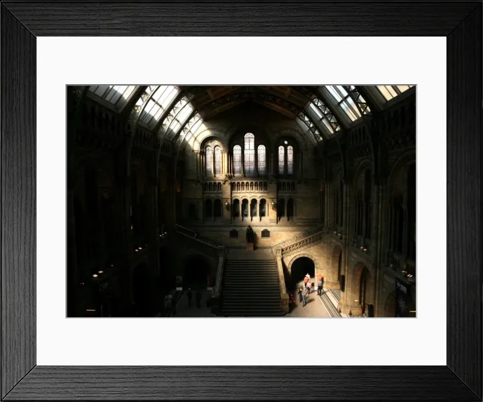 Framed Print : The Central Hall, The Natural History Museum Framed Print : The Central Hall, The Natural History Museum