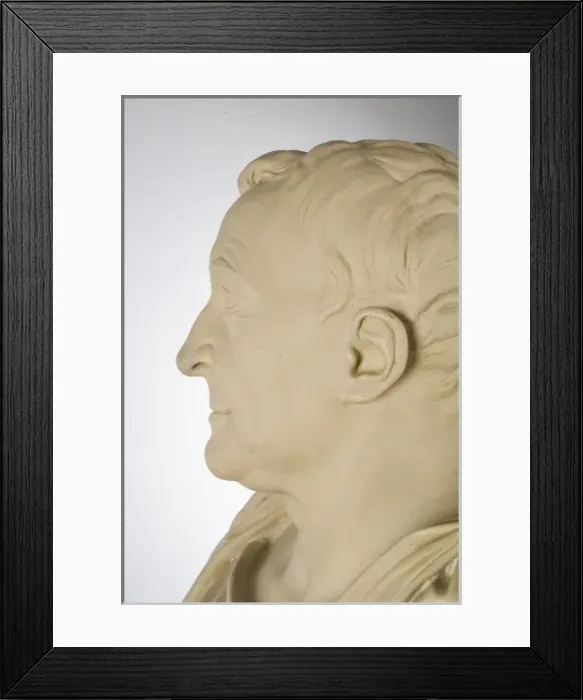 Framed Print : Bust of Carl Linnaeus Framed Print : Bust of Carl Linnaeus