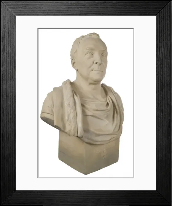 Framed Print : Bust of Carl Linnaeus