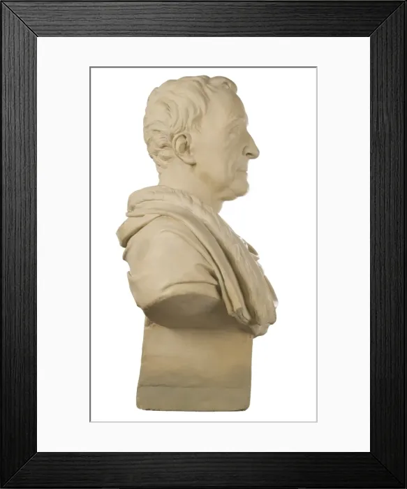 Framed Print : Bust of Carl Linnaeus Framed Print : Bust of Carl Linnaeus