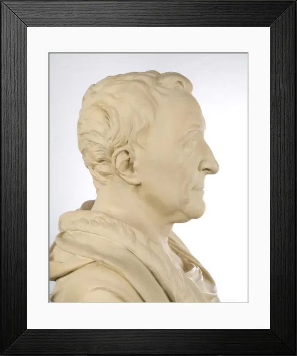 Framed Print : Bust of Carl Linnaeus Framed Print : Bust of Carl Linnaeus