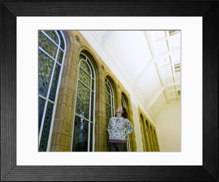 Framed Print : Darwins Canopy Gallery at the north end of the Central Hall Framed Print : Darwins Canopy Gallery at the north end of the Central Hall