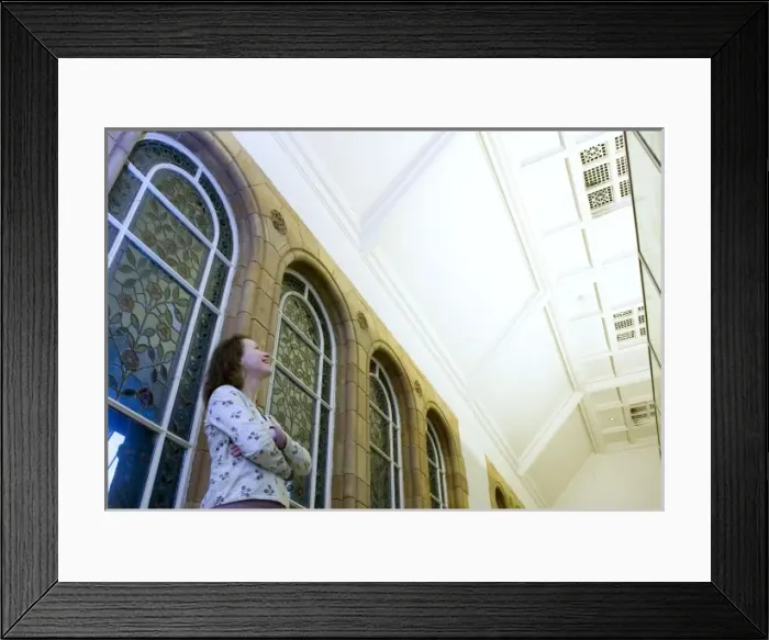 Framed Print : Darwins Canopy Gallery at the north end of the Central Hall Framed Print : Darwins Canopy Gallery at the north end of the Central Hall