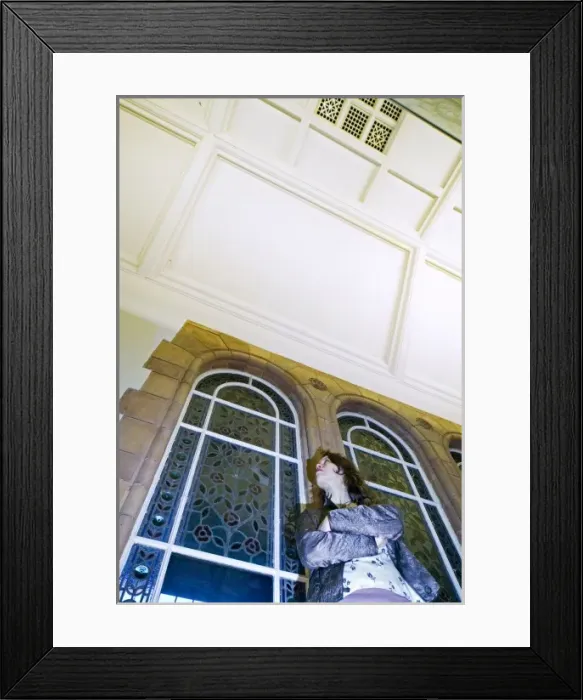 Framed Print : Darwins Canopy Gallery at the north end of the Central Hall Framed Print : Darwins Canopy Gallery at the north end of the Central Hall