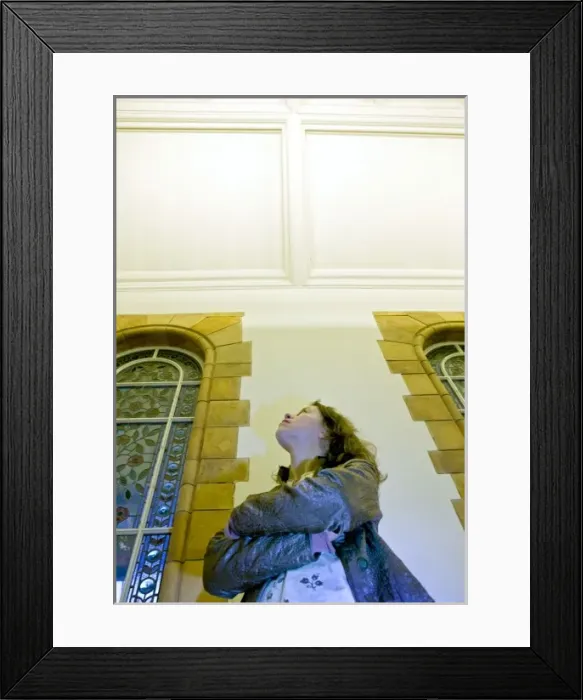 Framed Print : Darwins Canopy Gallery at the north end of the Central Hall Framed Print : Darwins Canopy Gallery at the north end of the Central Hall
