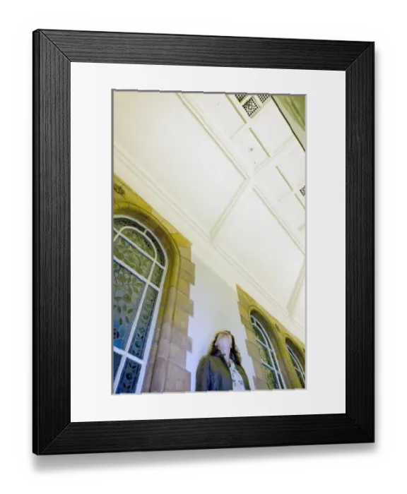 Framed Print : Darwins Canopy Gallery at the north end of the Central Hall Framed Print : Darwins Canopy Gallery at the north end of the Central Hall