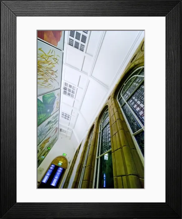 Framed Print : Darwins Canopy Gallery at the north end of the Central Hall Framed Print : Darwins Canopy Gallery at the north end of the Central Hall