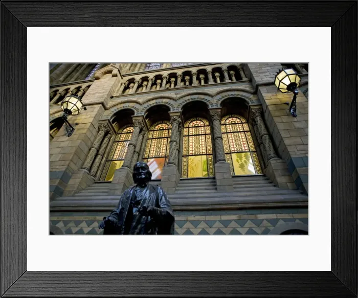 Framed Print : Darwins Canopy Gallery at the north end of the Central Hall Framed Print : Darwins Canopy Gallery at the north end of the Central Hall
