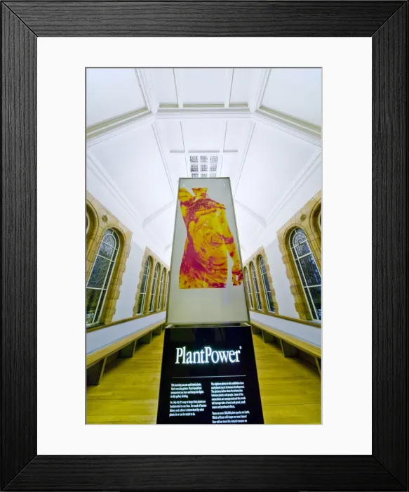 Framed Print : Darwins Canopy Gallery at the north end of the Central Hall Framed Print : Darwins Canopy Gallery at the north end of the Central Hall